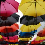 What Is Domain Hosting? Narves.com